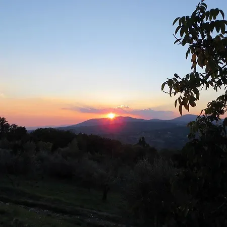 Agriturismo Poggio Al Sole Country house *